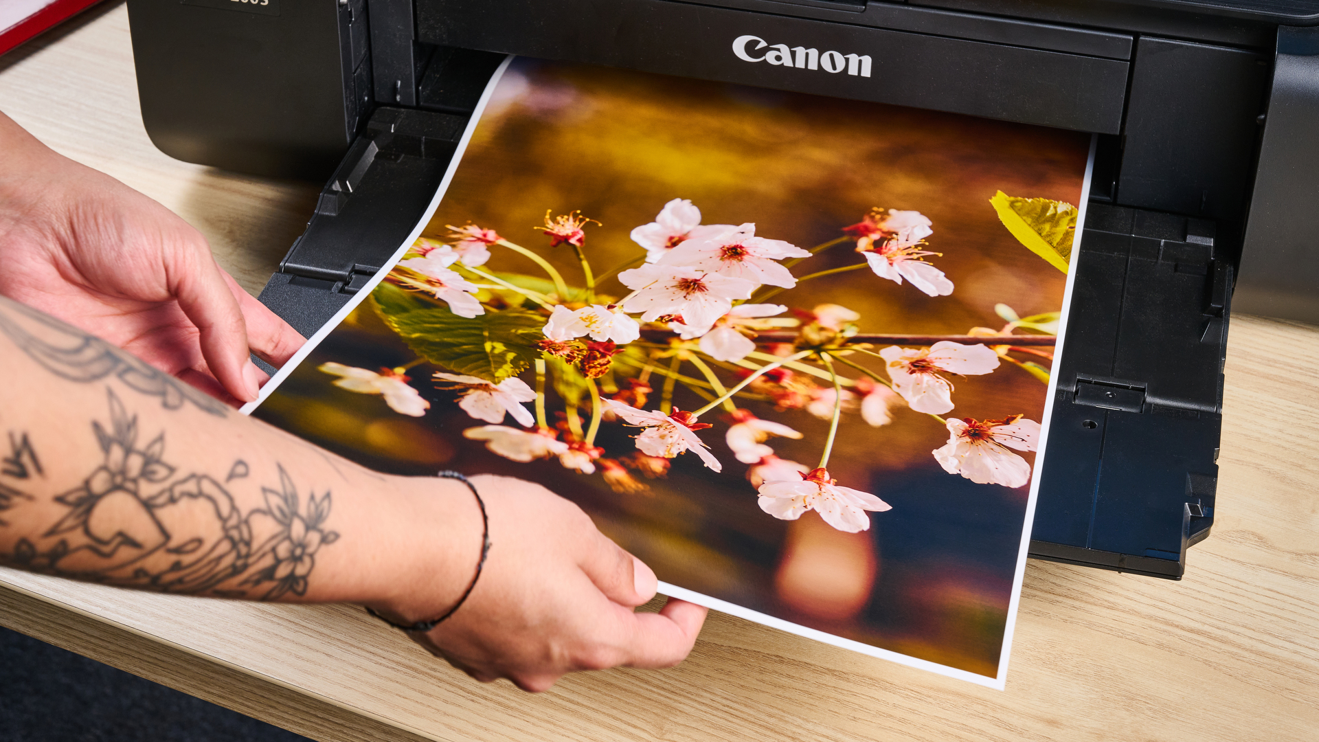 Canon PIXMA Pro 200-S printer