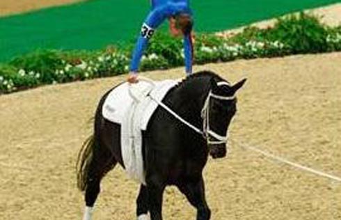 Vaulting
