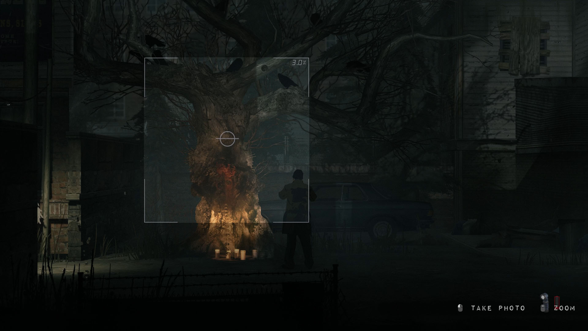 Walker takes a photo of a tree with markings on it with candles below in Silver Pines