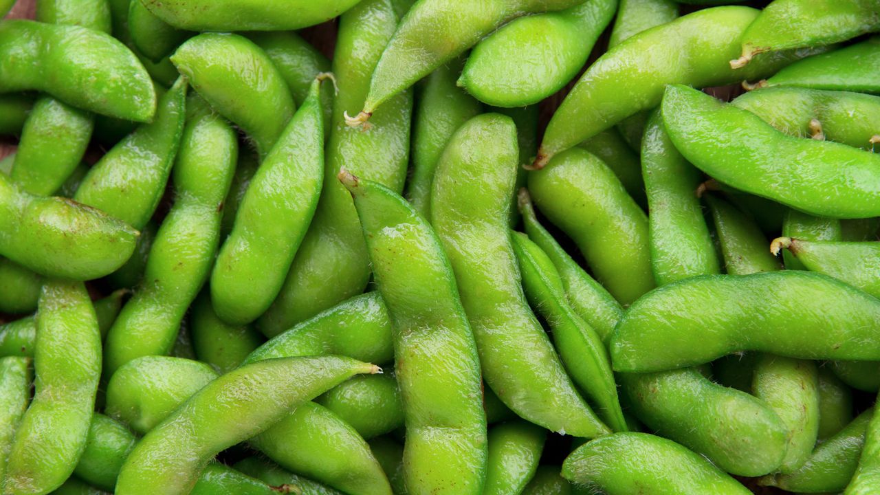 freshly harvested soybeans