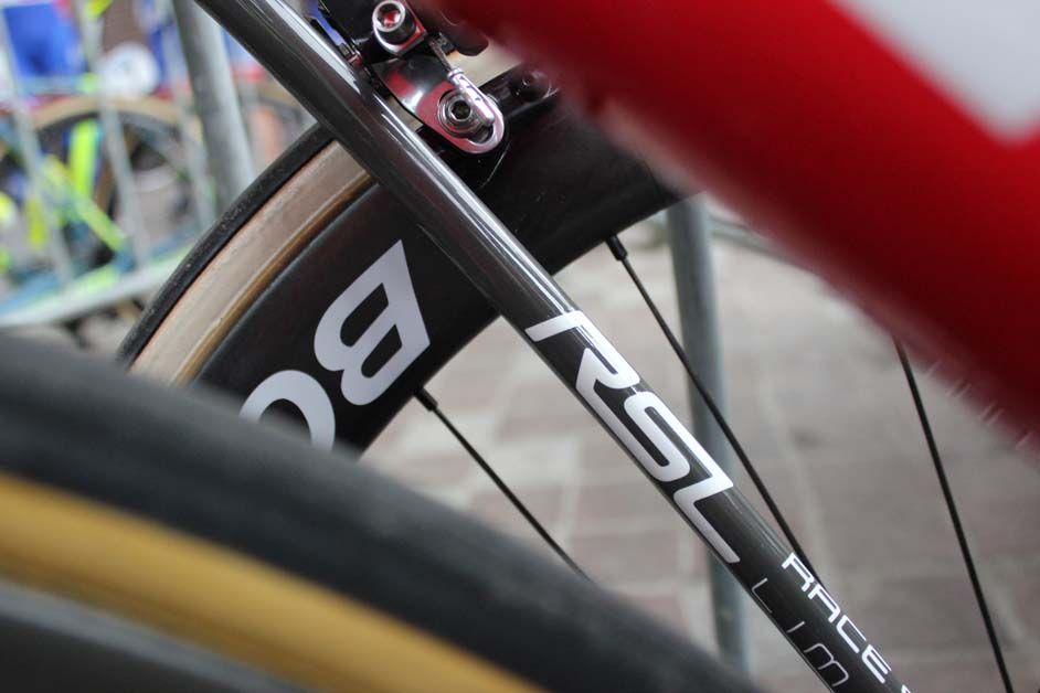 Slender seat stays on the Trek Domane