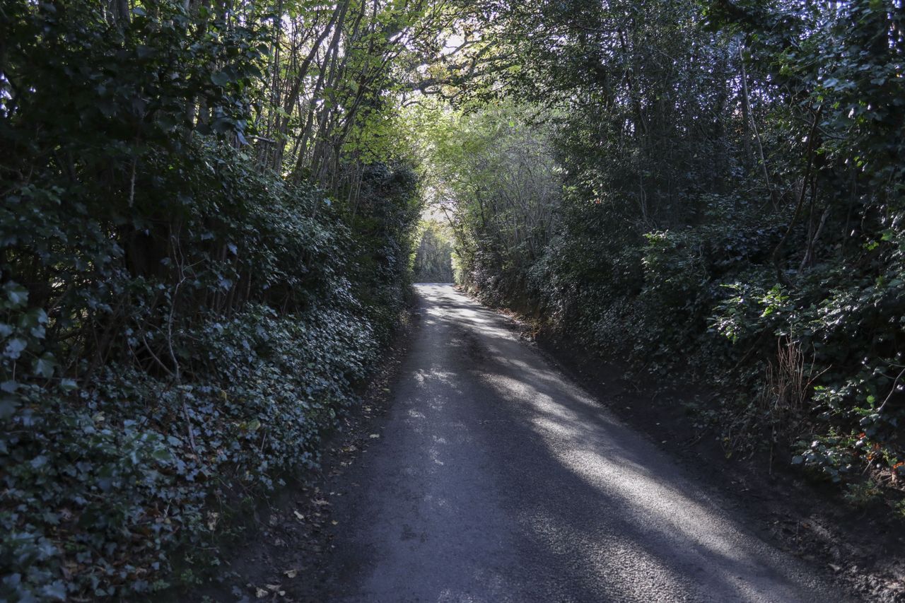 The dynamic range offered by the G1 X Mark III is pretty good, allowing a decent amount of flexibility
