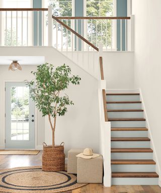 modern entryway with white walls and light gray-green painted stairs, with large houseplant