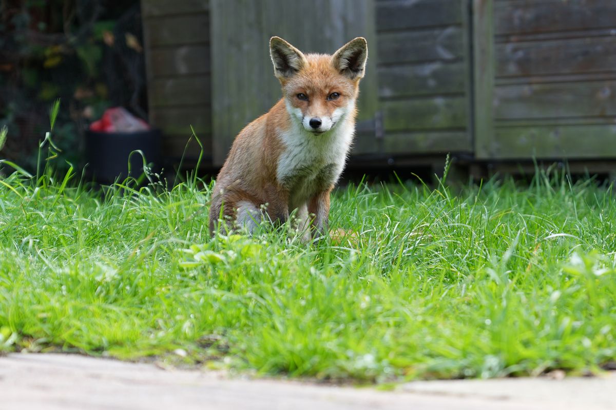 Sample photo taken in London on the Sony A7 IV camera