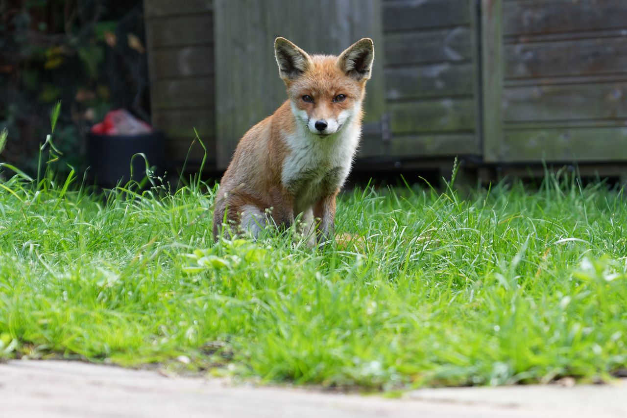 Sample photo taken in London on the Sony A7 IV camera