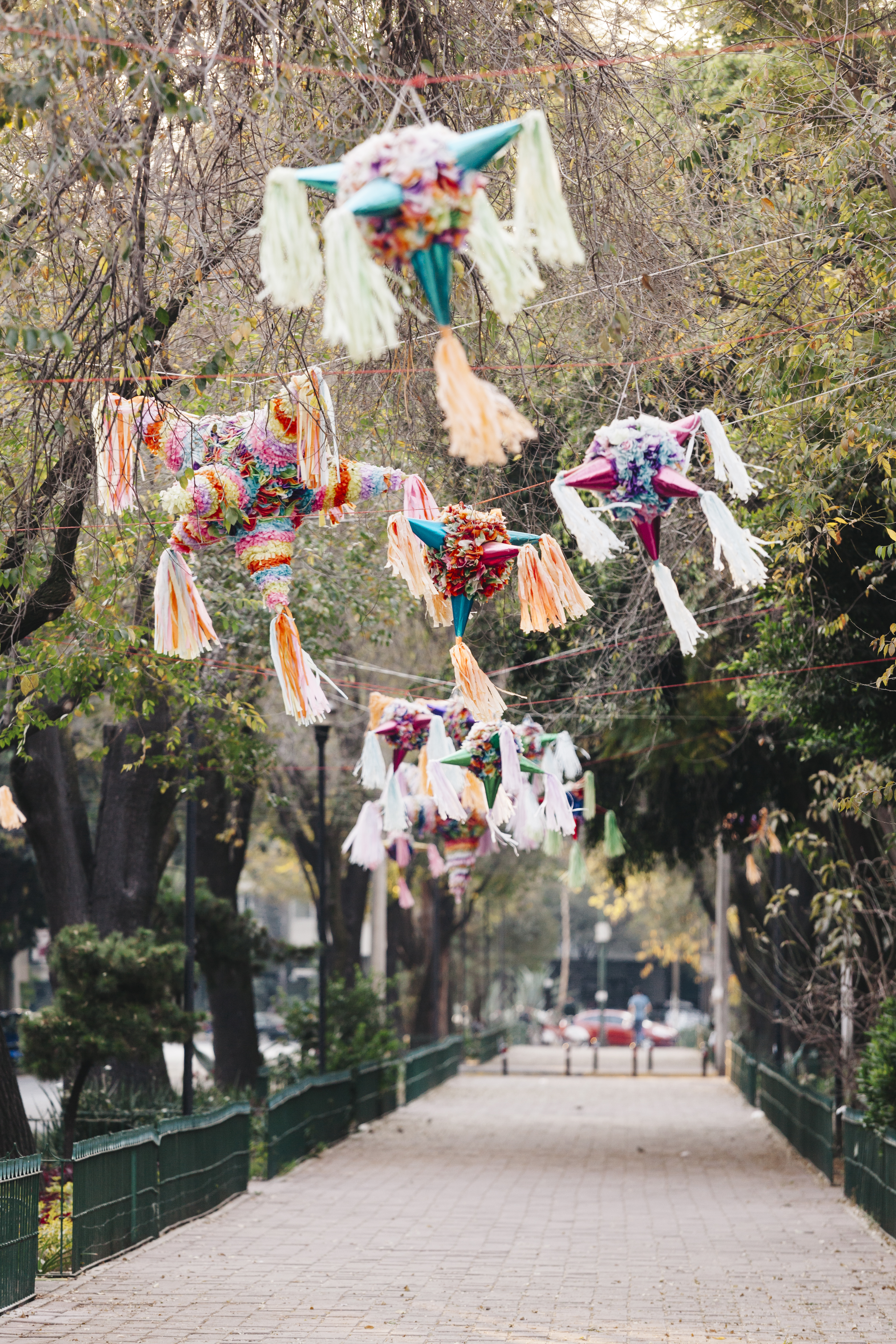 A series of sun-lit street photography shots of Mexico City portray a vibrant destination characterized by contrasting architectural styles, tropical plants, and bright colors.