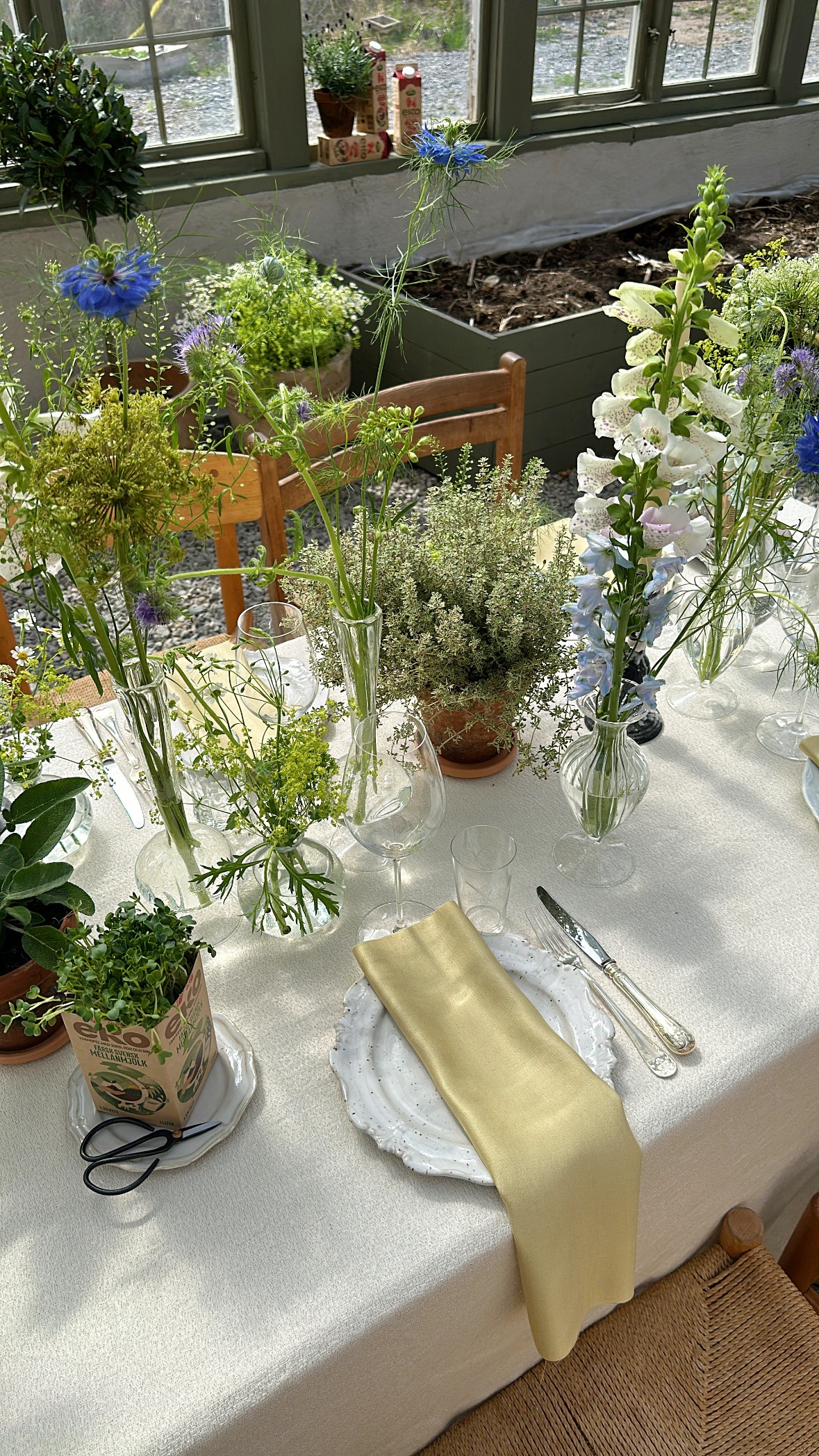 A dining table styled with a white table cloth, centre pieces of baby's breath and other potted flowers and scalloped edge white plates, with a yellow napkin.