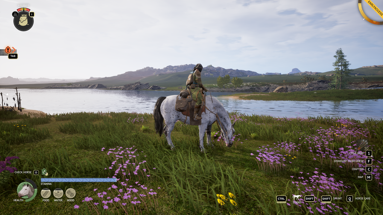The Legend of Khiimori graphics settings - medium