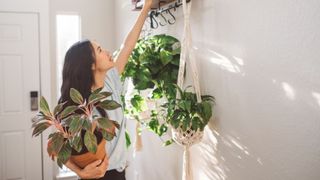 A lady hangs up her macramé plant hanger