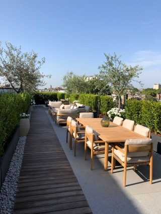long garden ideas: roof terrace lined with olive trees