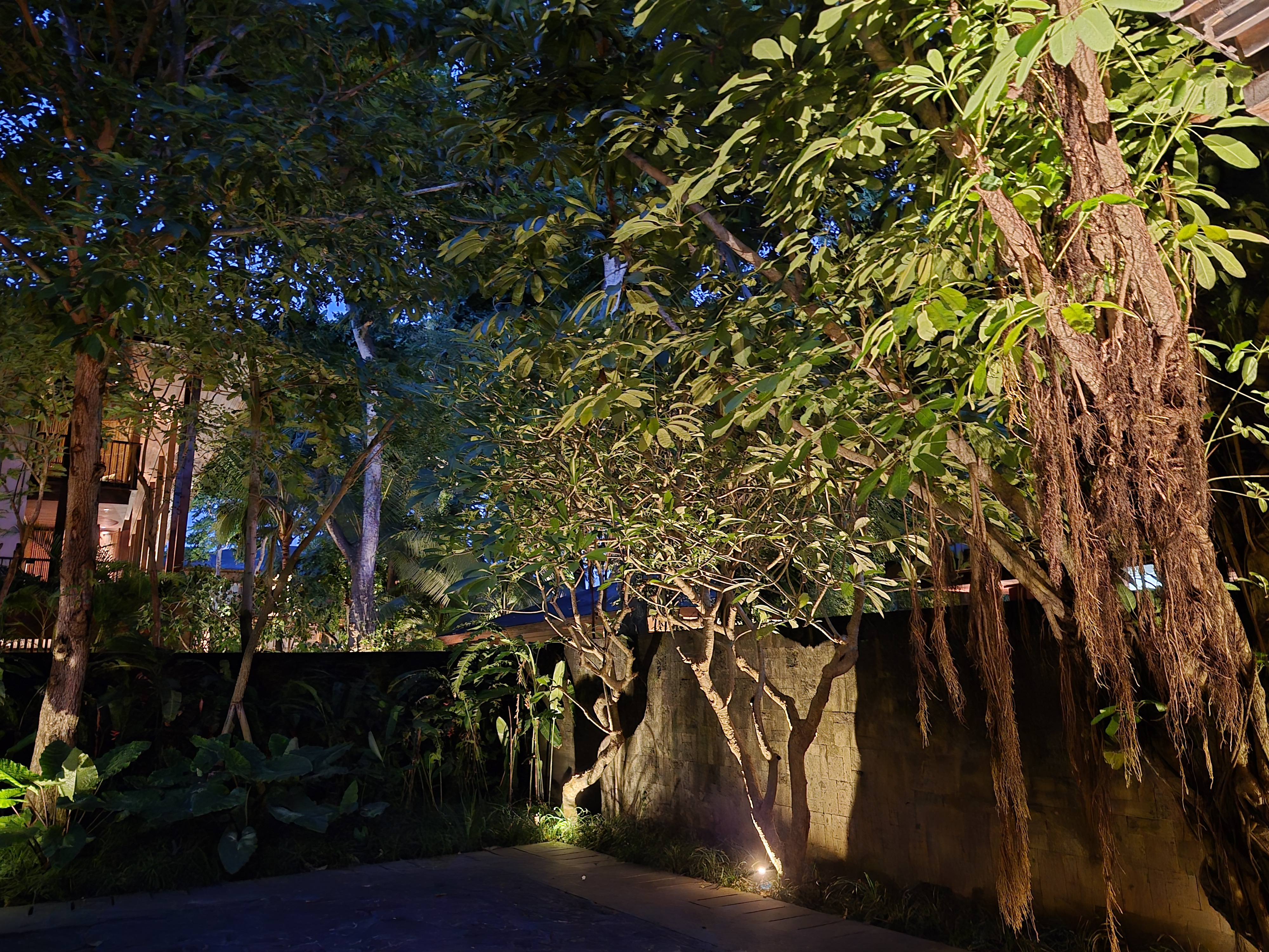 Camera sample captured on the Samsung Galaxy S25 FE