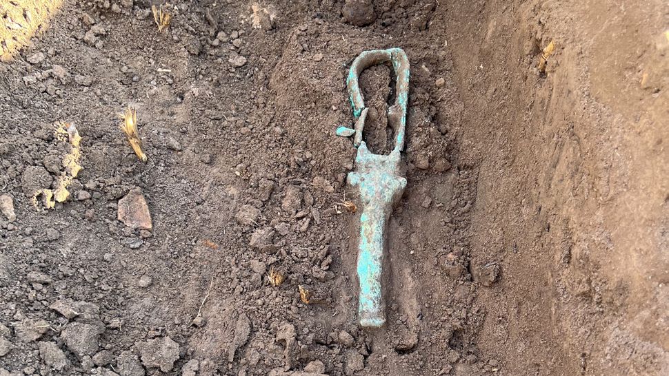 A musical ⁤instrument shaped like a rattle ⁢dating to Egypt's Late ⁣Period.