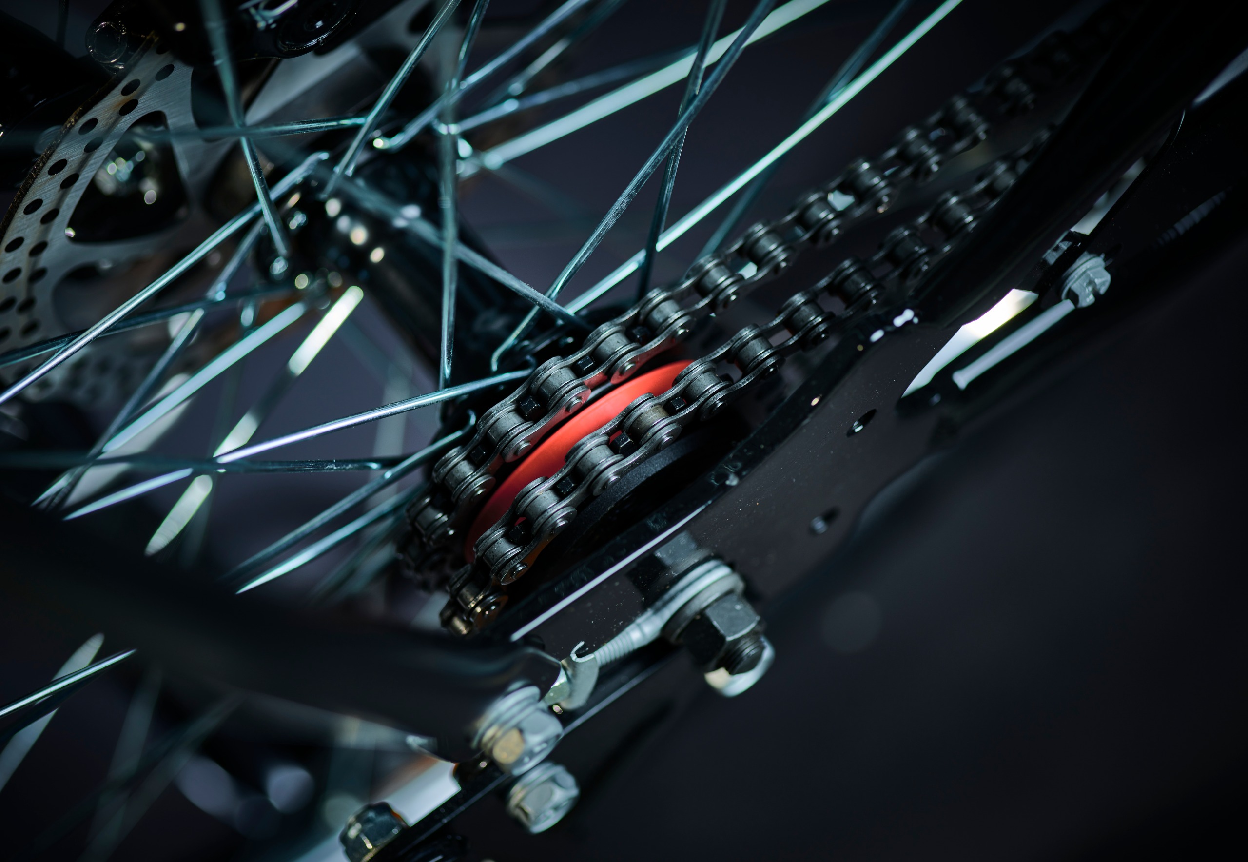 The dual chain of the Buffalo Pro bike