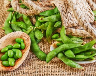 Summer Shell edamame beans freshly harvested