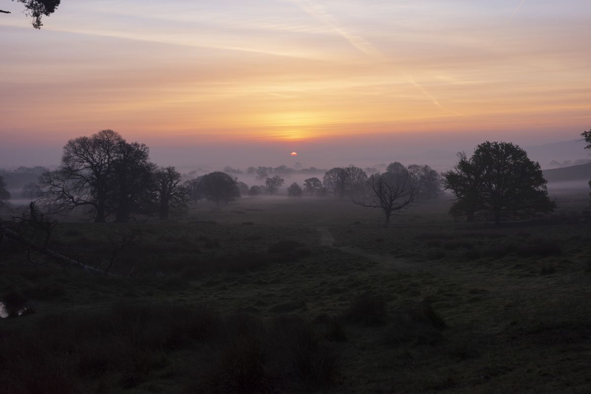 A sunset over a misty forest