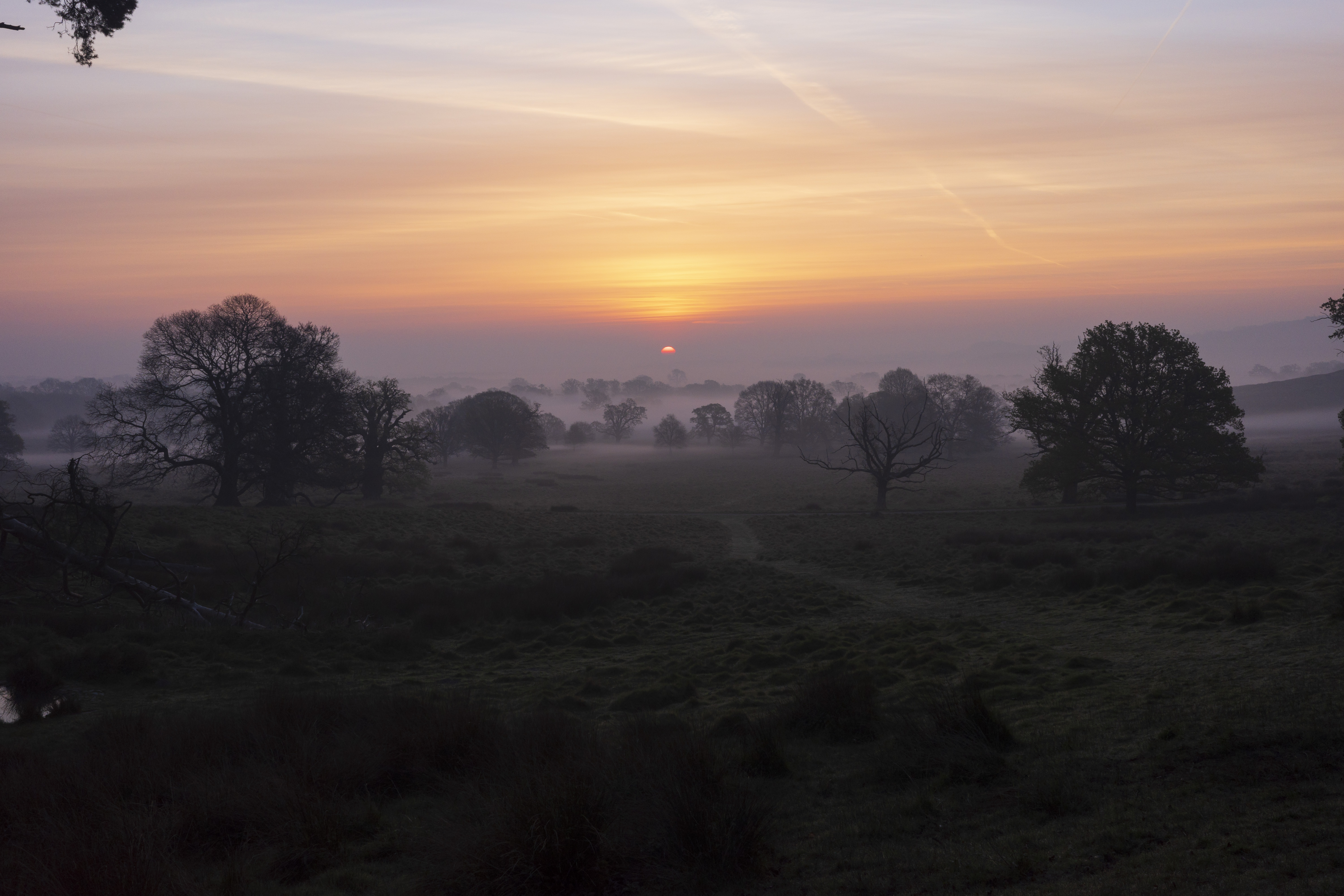 A sunset over a misty forest