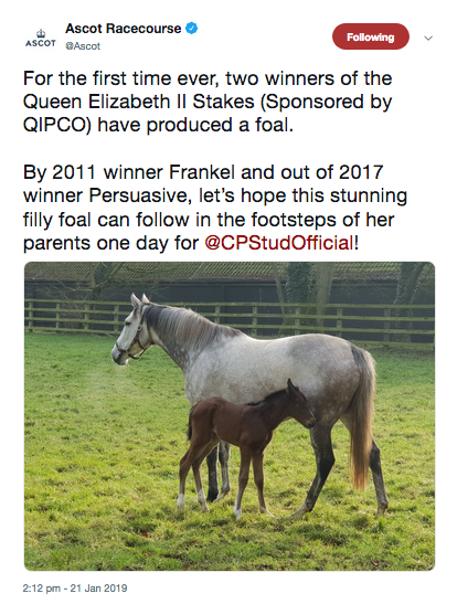 Frankel.png