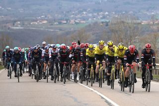 The pack of riders including Team Visma-Lease a Bike's US rider Matteo Jorgenson (5thR) cycles during the 5th stage of the Paris-Nice cycling race, 196,5 km between Saint-Just-en-Chevalet and La CÃ´te-Saint-AndrÃ©, on March 13, 2025. (Photo by Anne-Christine POUJOULAT / AFP)