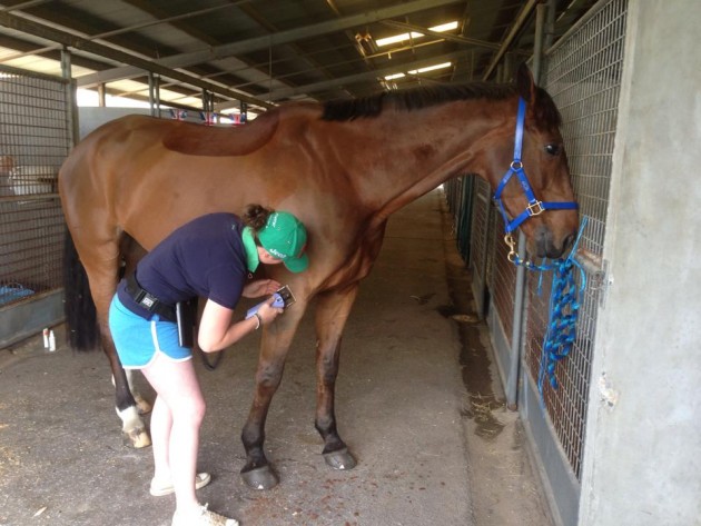 Jenny clipping Hilly