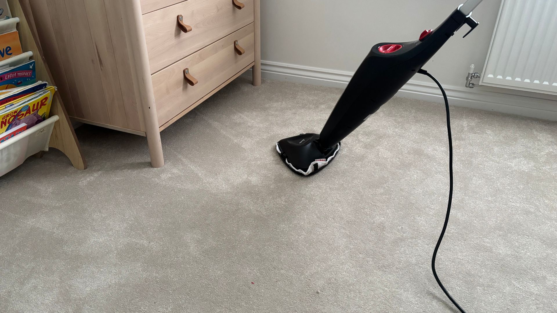 Testing the Vileda Steam Plus Steam Cleaner