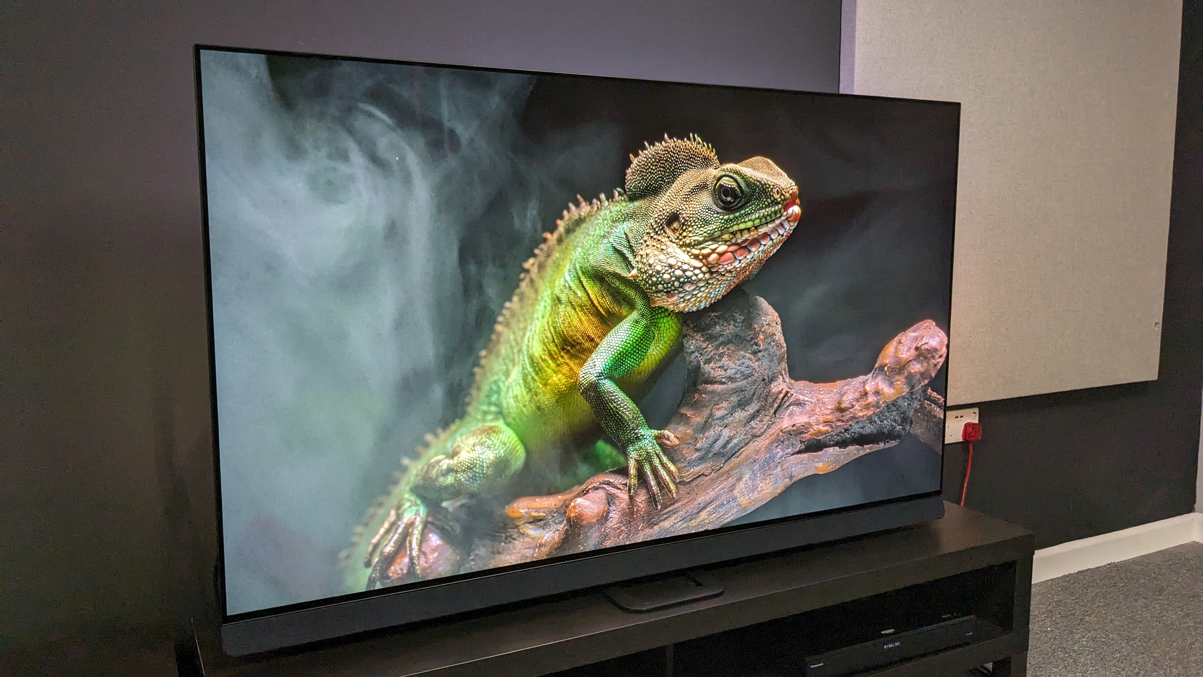 Philips OLED908 with reptile on screen