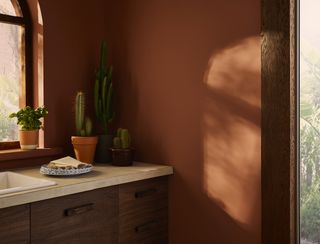 A burnt orange kitchen