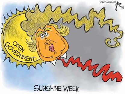 Political Cartoon U.S. Trump Sun Hair Government
