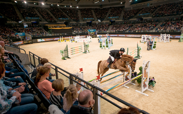 Horse-jumping-pic