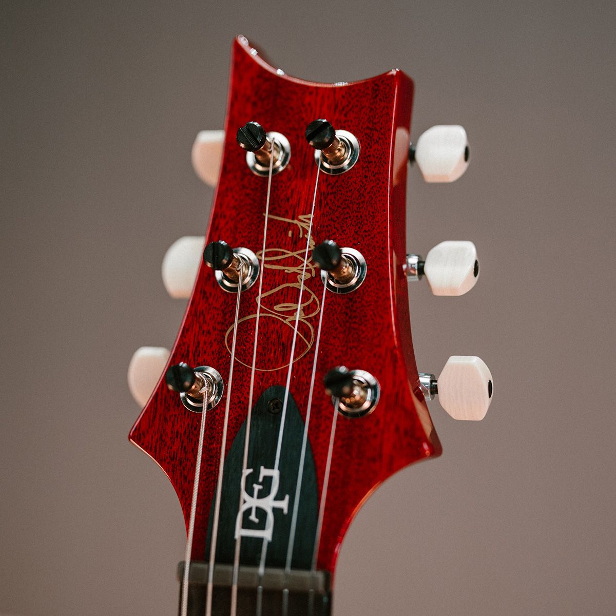 DGT Semi-hollow guitar details