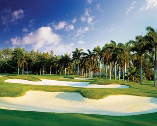 Palm trees surround the historic Half Moon Golf Course in Montego Bay, Jamaica