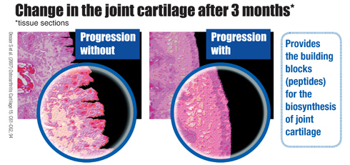 changeinjoint.jpg