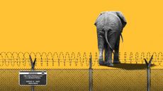 Photo composite of a GOP elephant walking away from the US border fence