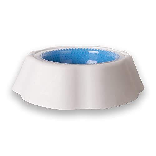 Pet Cooling Bowl