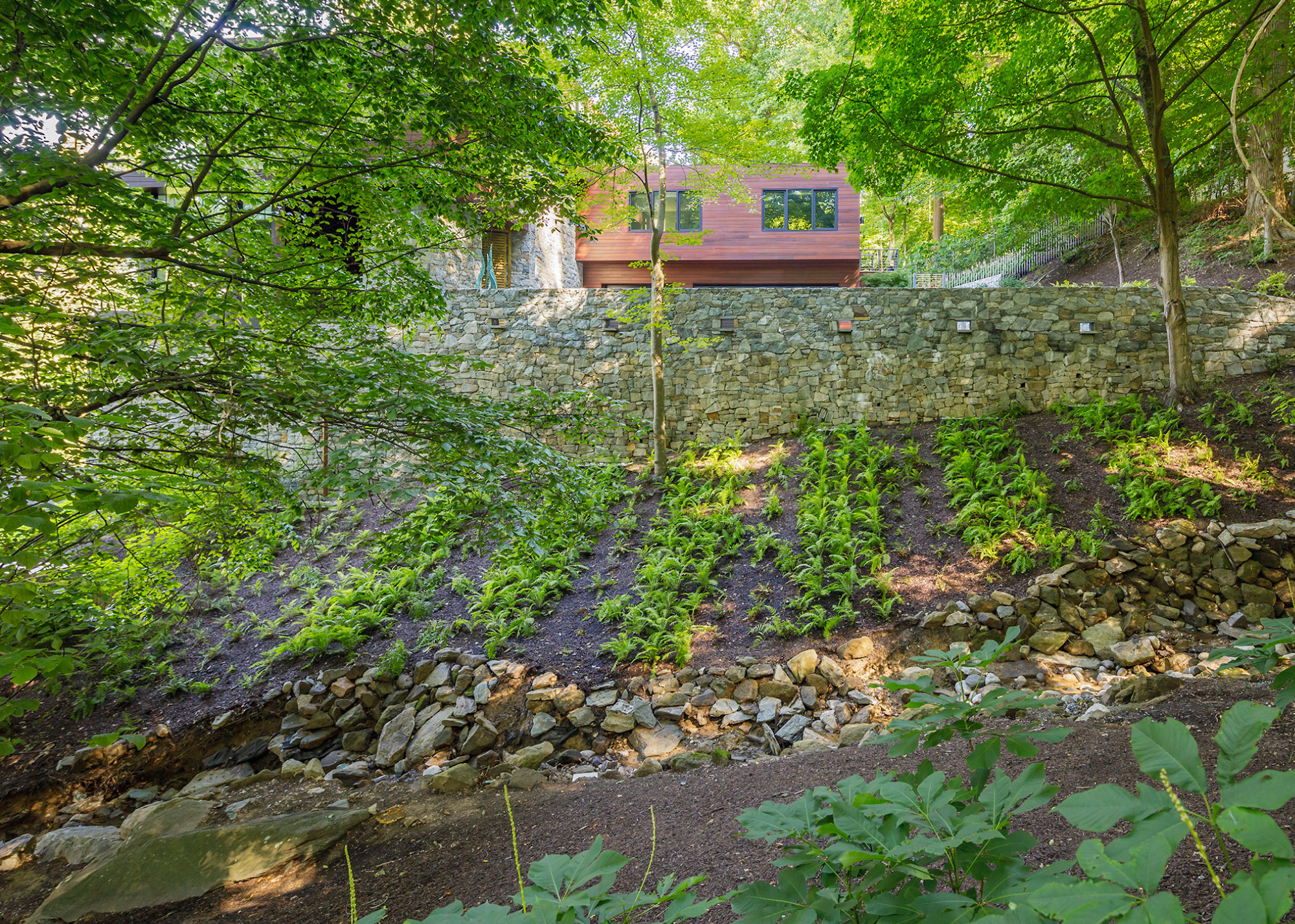 a rewilded garden with lots of plants and vegetables growing
