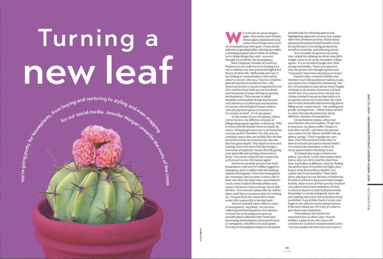 Real Homes magazine August issue houseplant advice