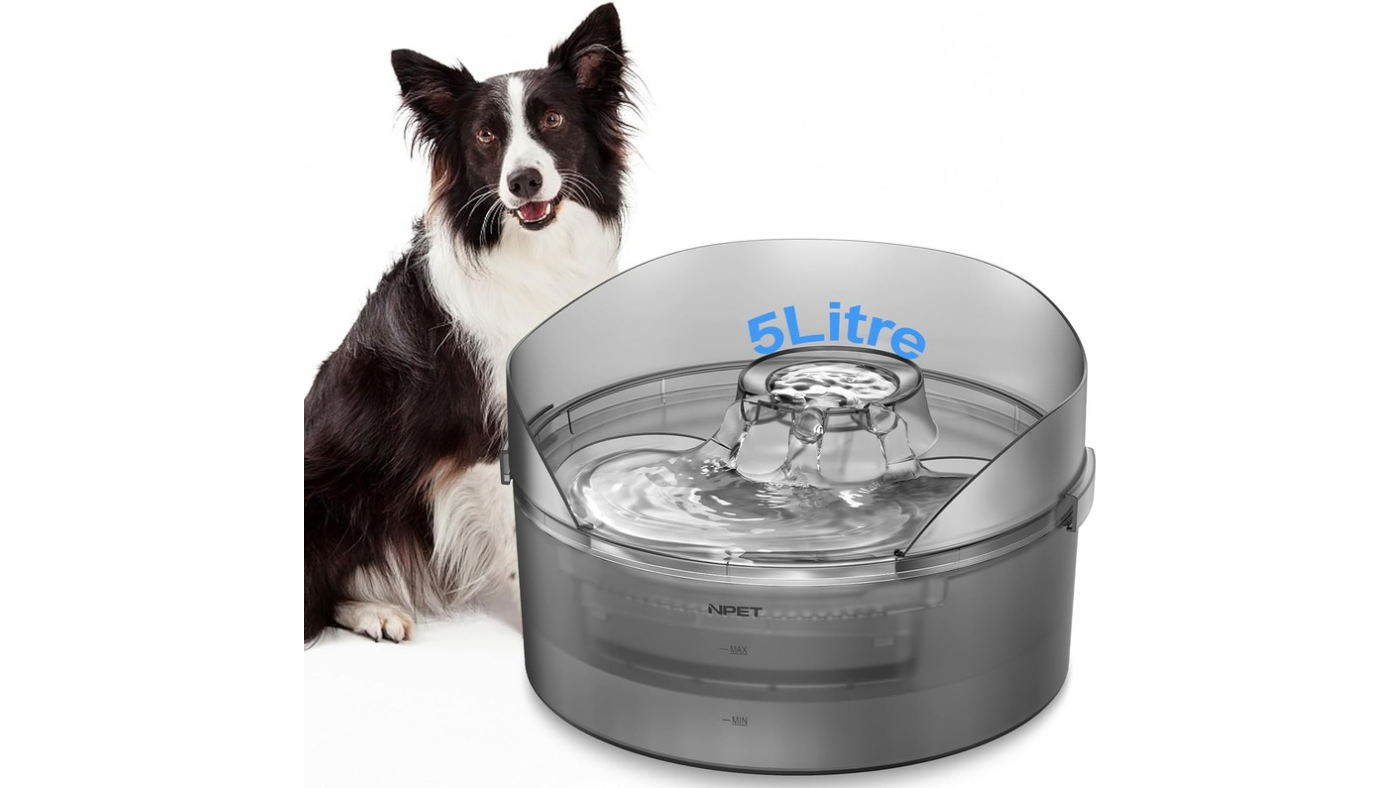 NPET Dog fountain