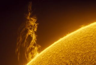 A close up of a spectacular solar prominence