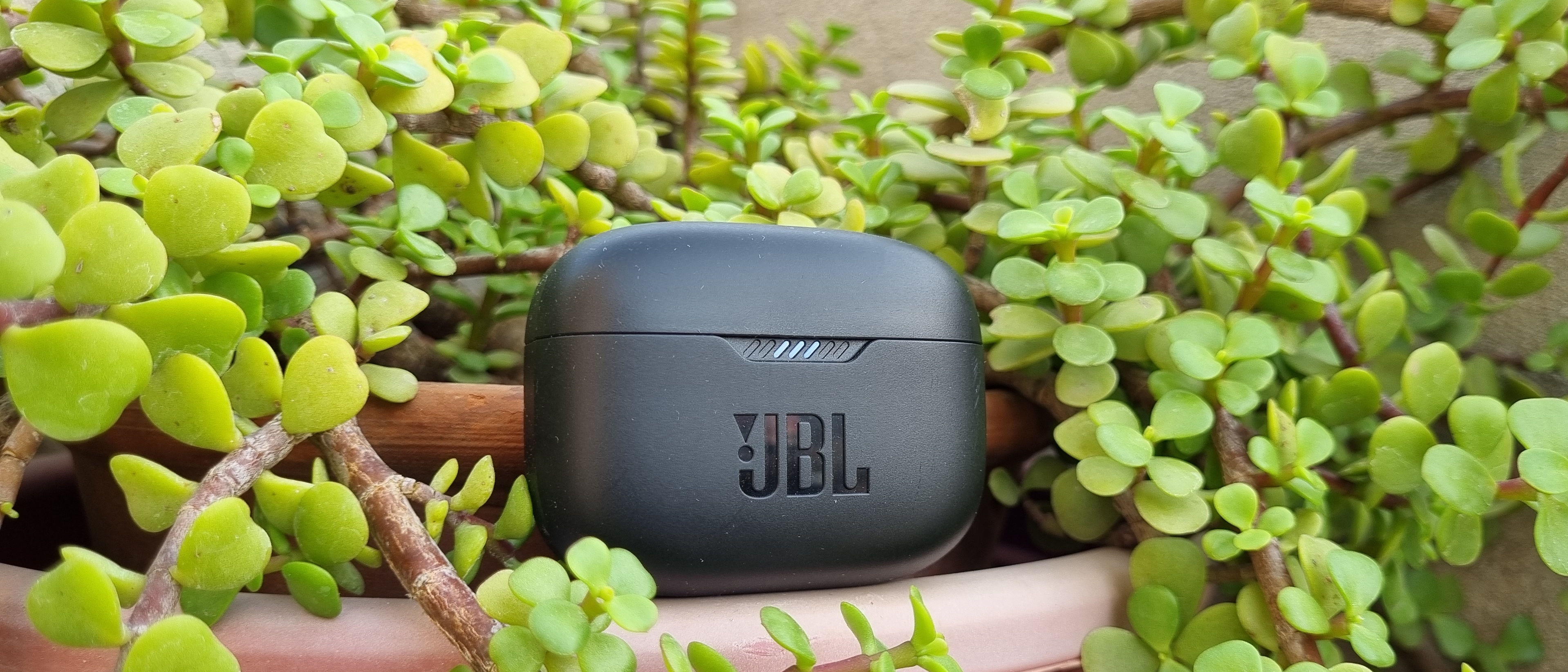 JBL TUNE 230NC TWS Review - REMARKABLE SOUND 
