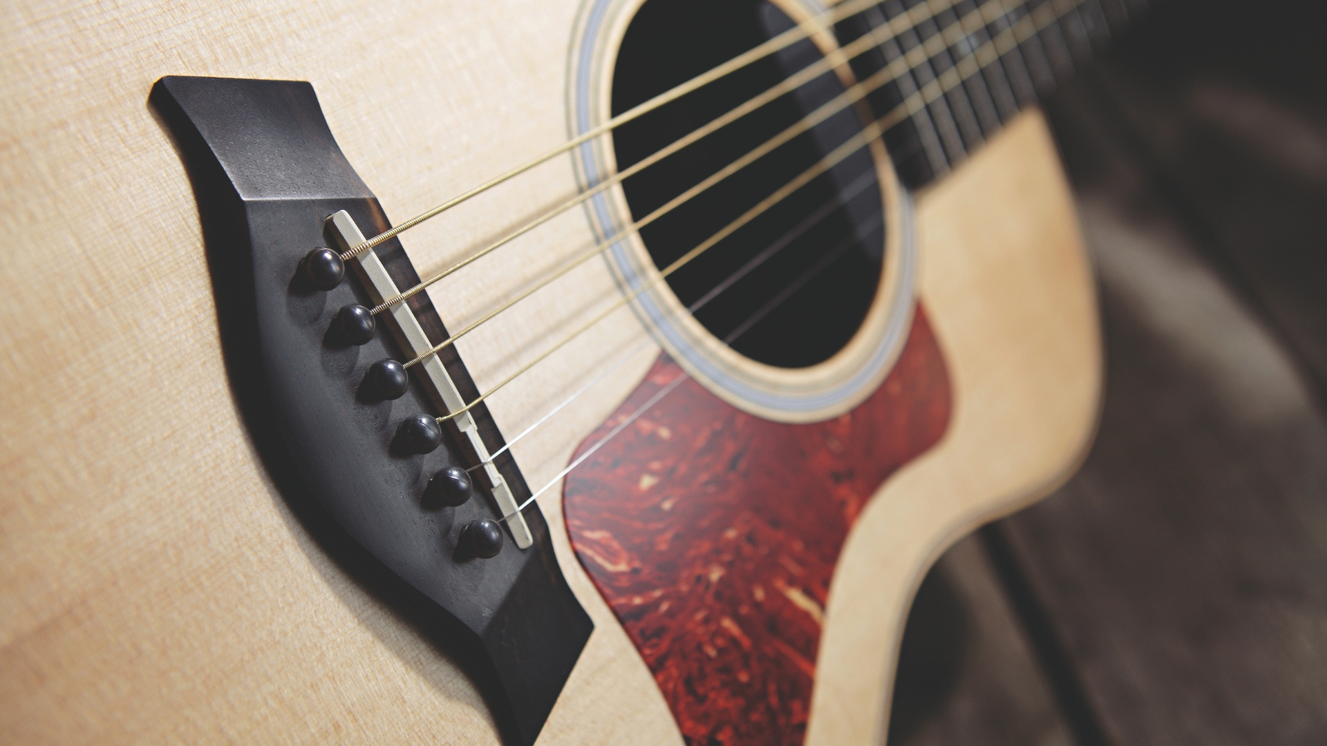 Close up of the bridge and strings on a Taylor GS Mini acoustic guitar