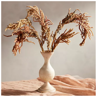 Dried Amaranth Bunch from Terrain