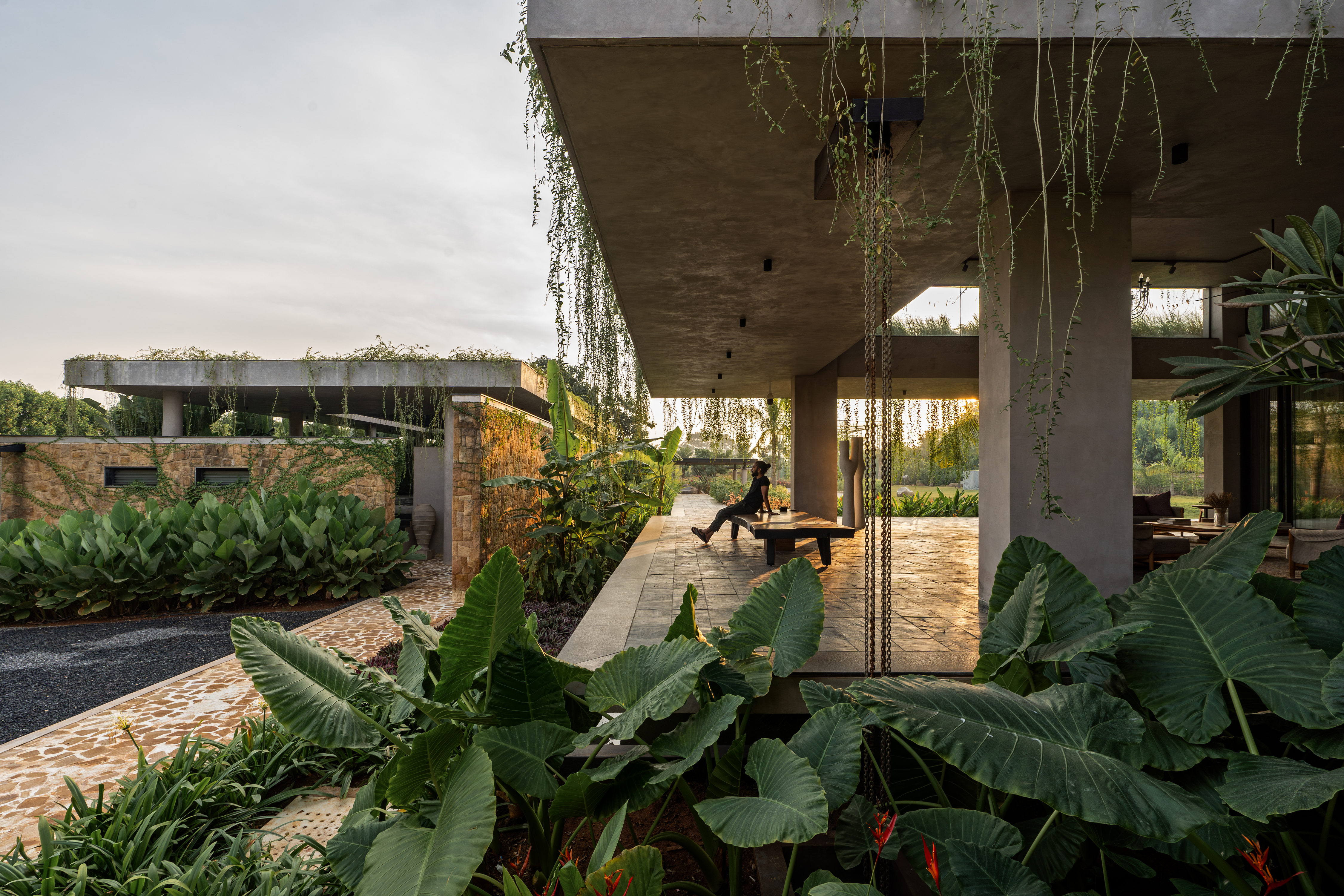 hyderabad home in brutalist style covered in greenery by 23 Degrees Design Shift