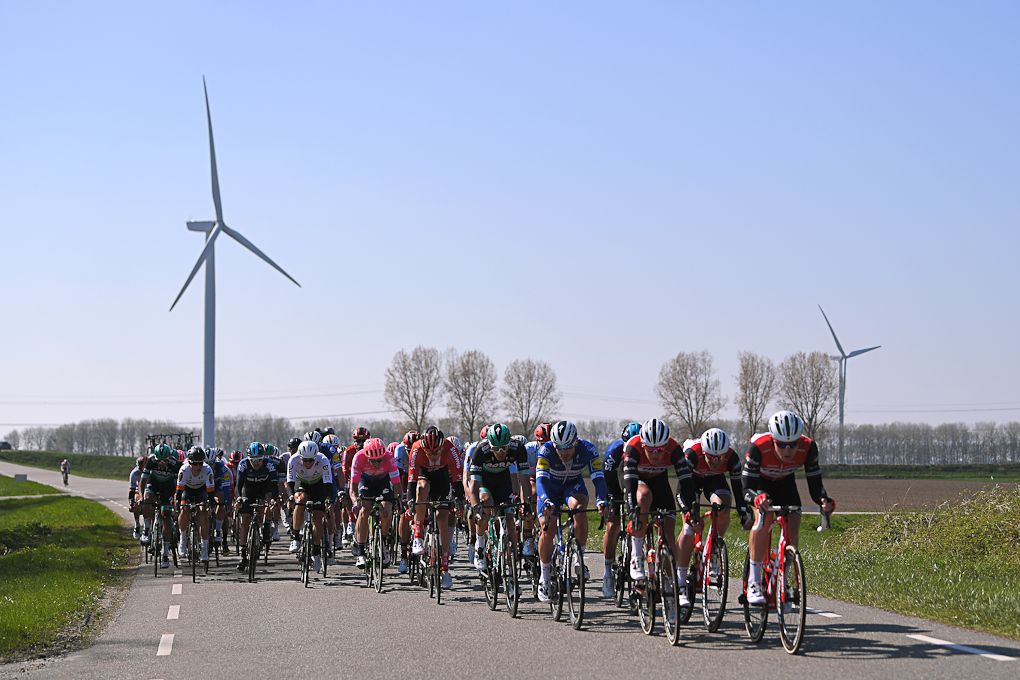 The Scheldeprijs peloton