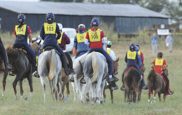 a group of riders taking part in a competitive endurance ride