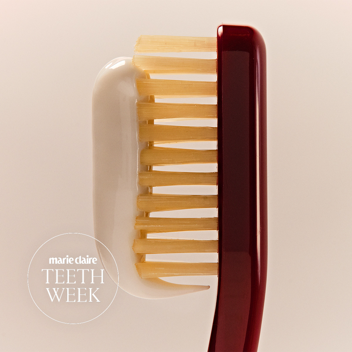 white toothpaste on a burgundy toothbrush on a cream background