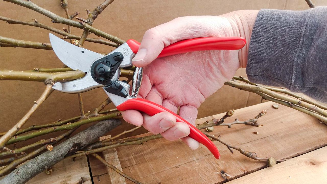 Best Pruning Shears: