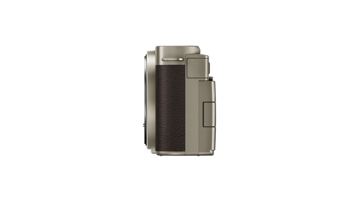 Panasonic Lumix S9 Titanium Gold against a white background