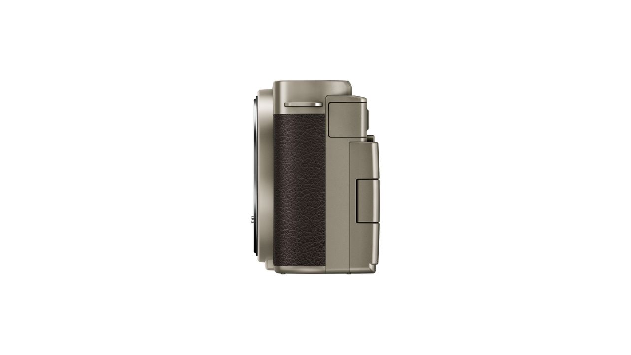 Panasonic Lumix S9 Titanium Gold against a white background