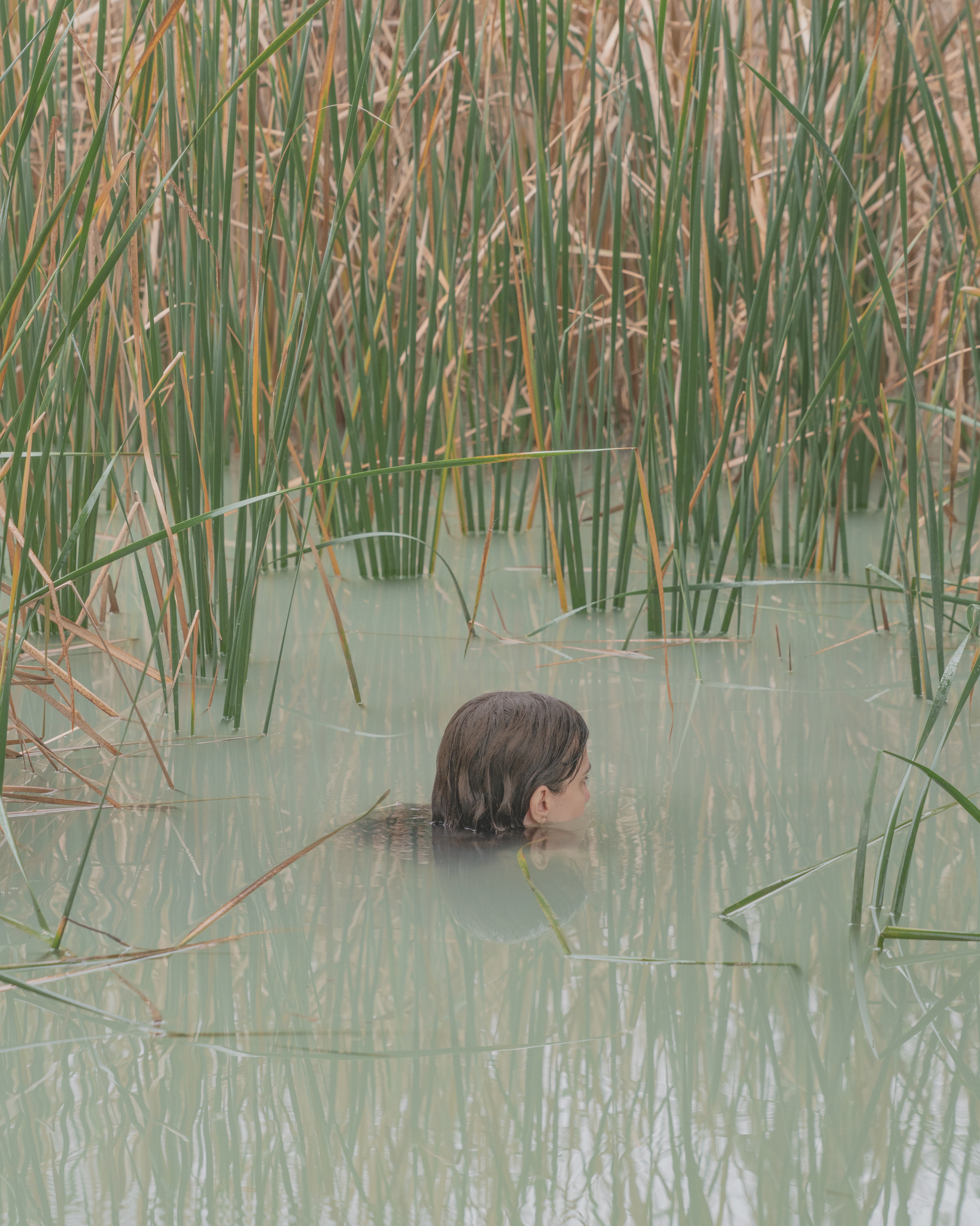 Brooke DiDonato's new photography book, 'take a picture, it will last longer'