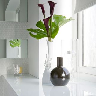 white background with flower vase and window