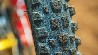 American Classic Tectonite mountain bike tires